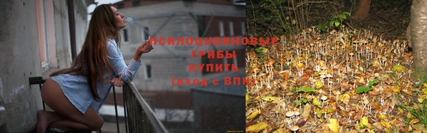 прущая мука Володарск