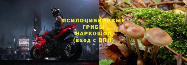 прущая мука Володарск