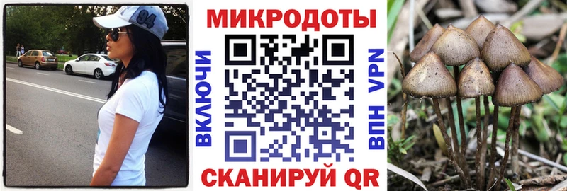 Купить где  Плавск  Галлюциногенные грибы ЛСД 